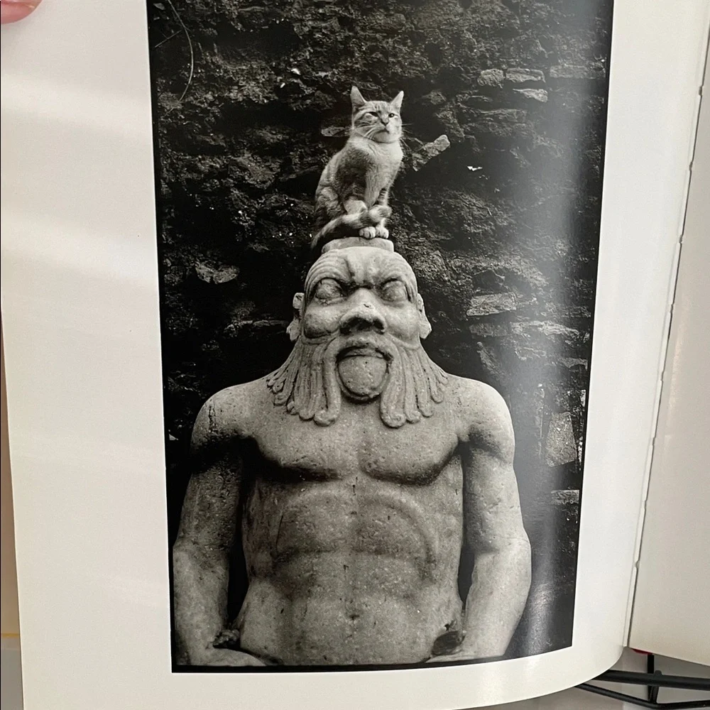 Funny Cats Book By JC Suares 1995